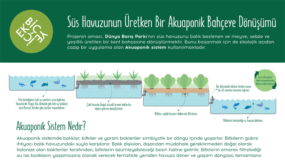 Akuaponik