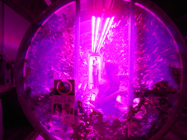 1463062567_Lunar_Greenhouse2.jpg