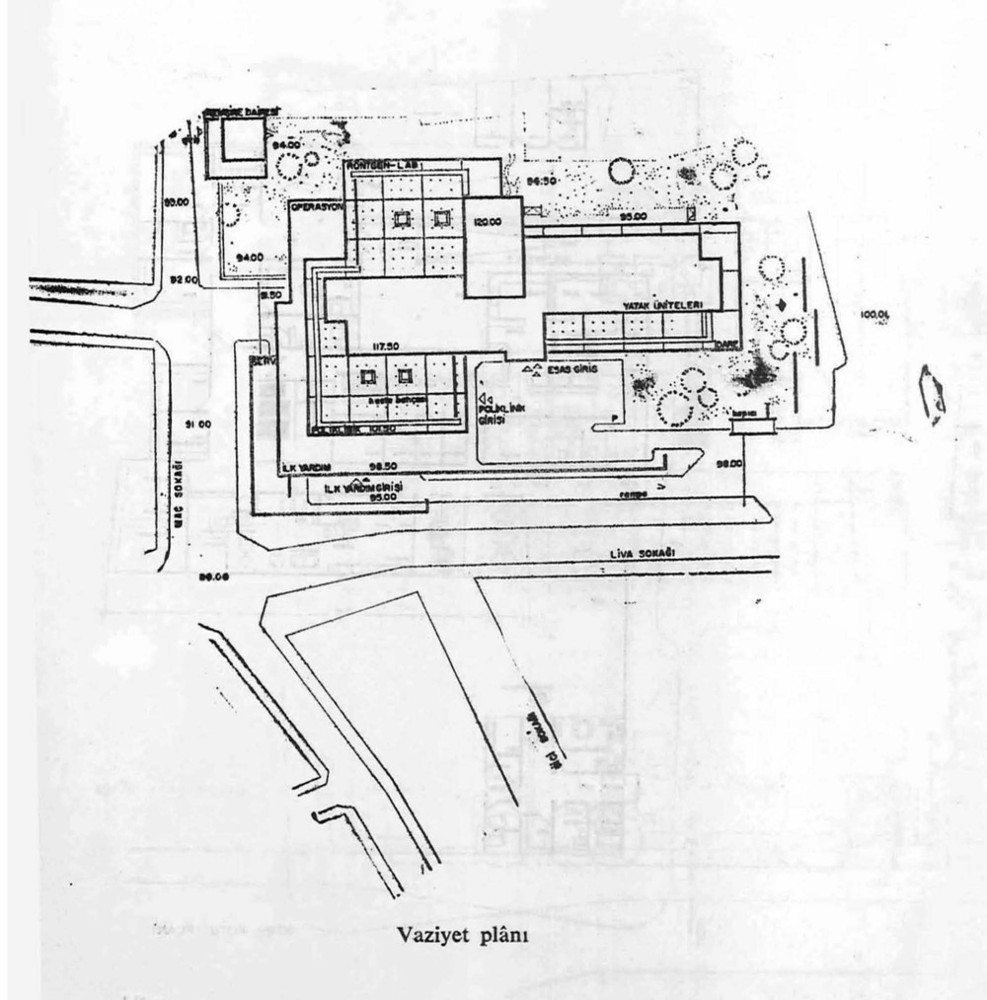 aa1 (1).jpg