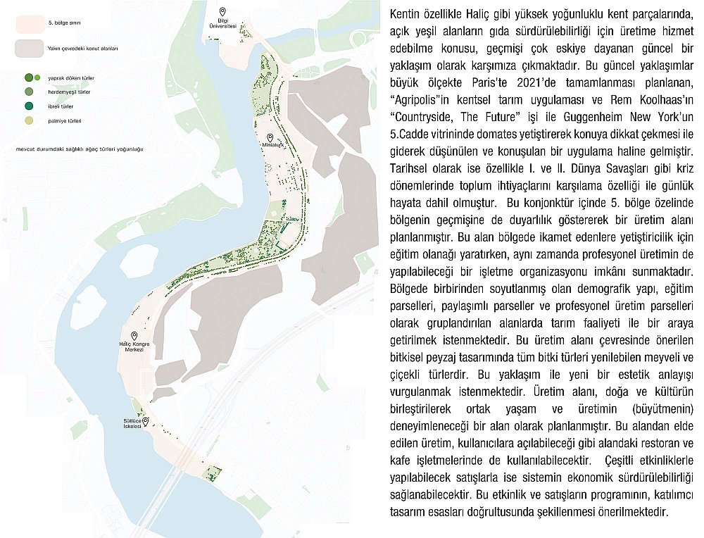 halicsenin_2odul (6).jpg