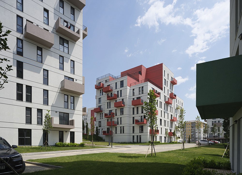 15-KIPTASSilivri_©CemalEmden_00276.jpg