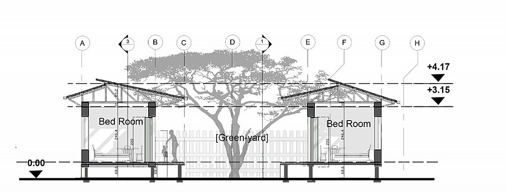 section (3).jpg