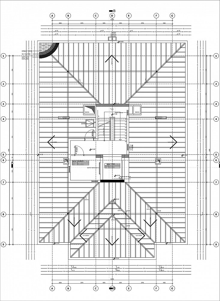 z (4).jpg