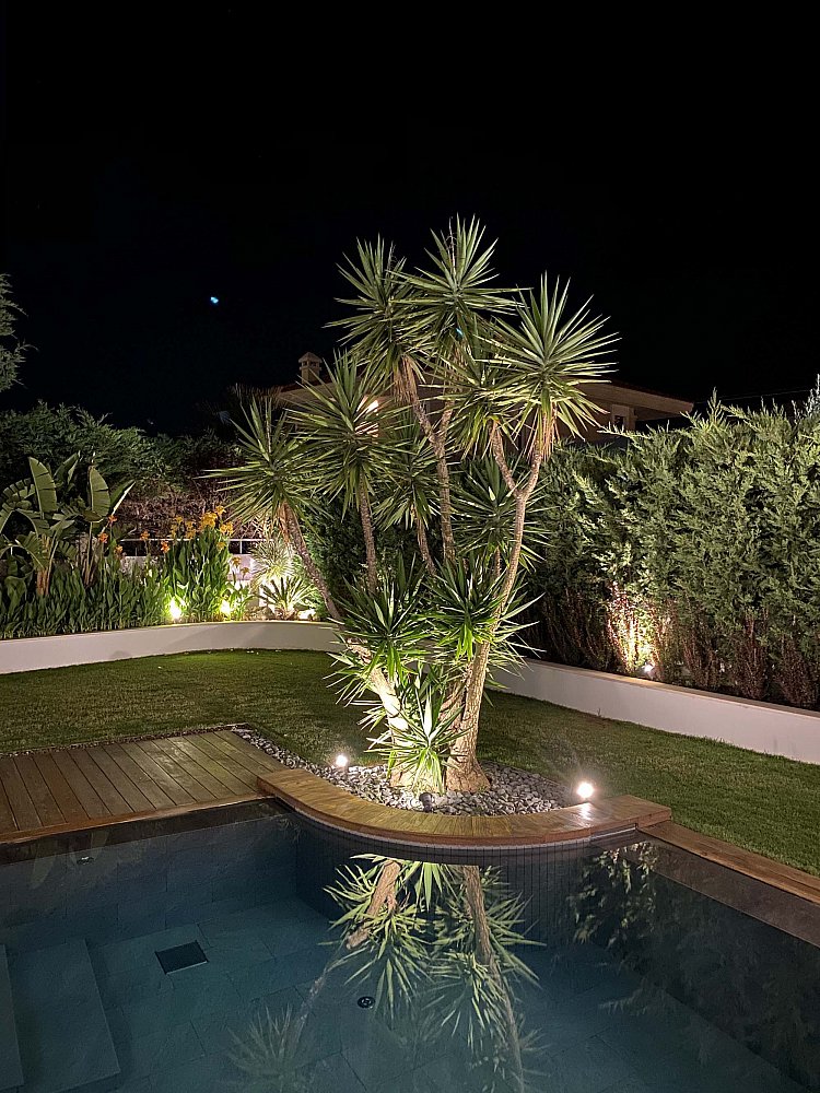 casadino (16).jpg