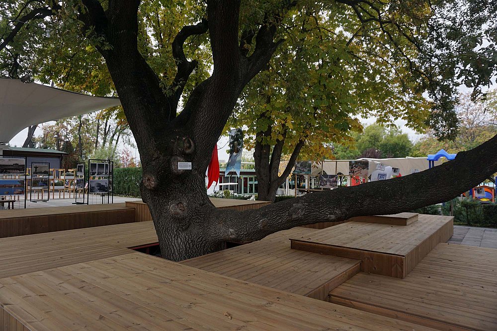 AnkaraAks Gençlik Parkı Etkinlik Alanı_8.jpg