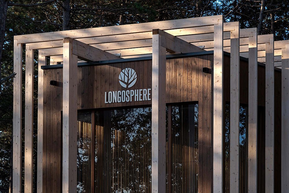 longosphere (7).jpg