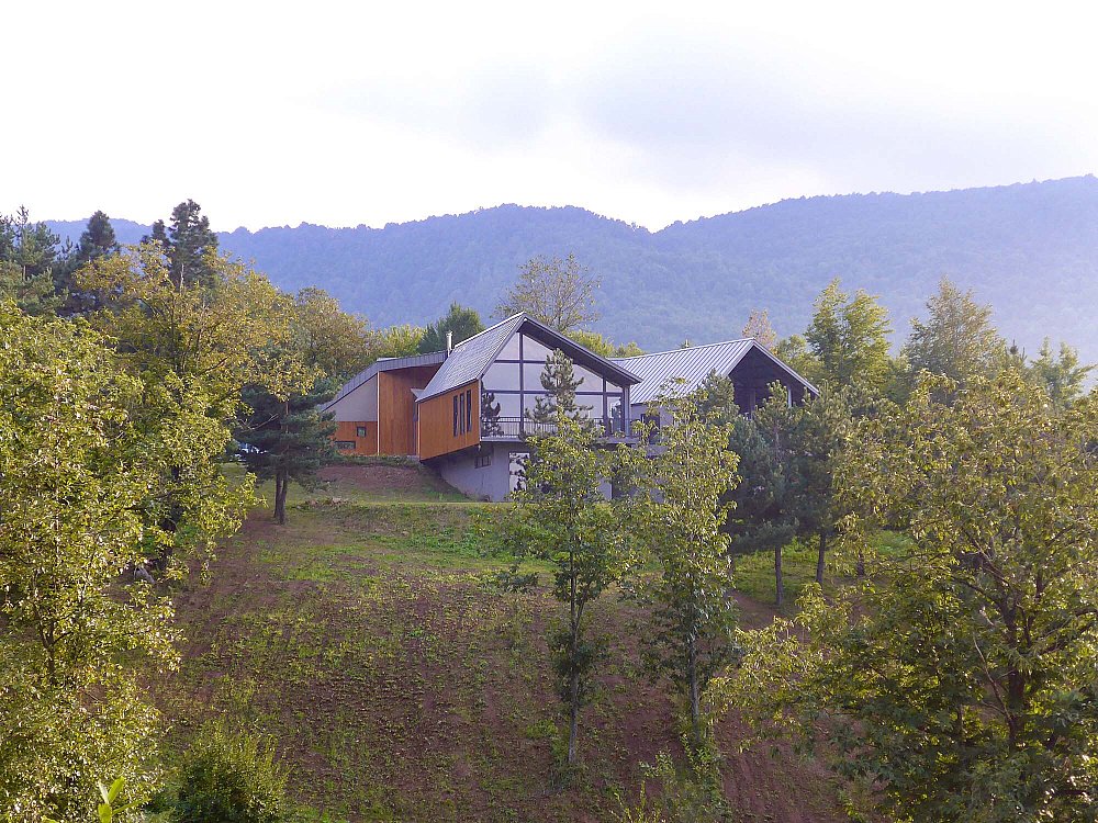 olimbera (5).jpg