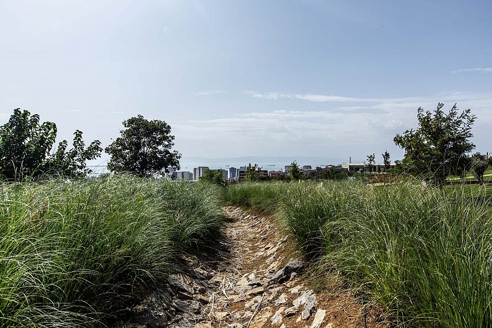 pendik_ds (3).jpg