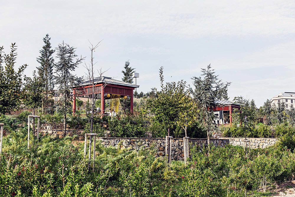 pendik_ds (5).jpg