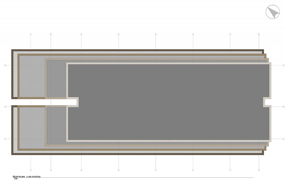RENAZA-13-roofplan.jpg