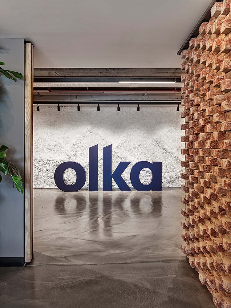 Olka Preview_03.jpg