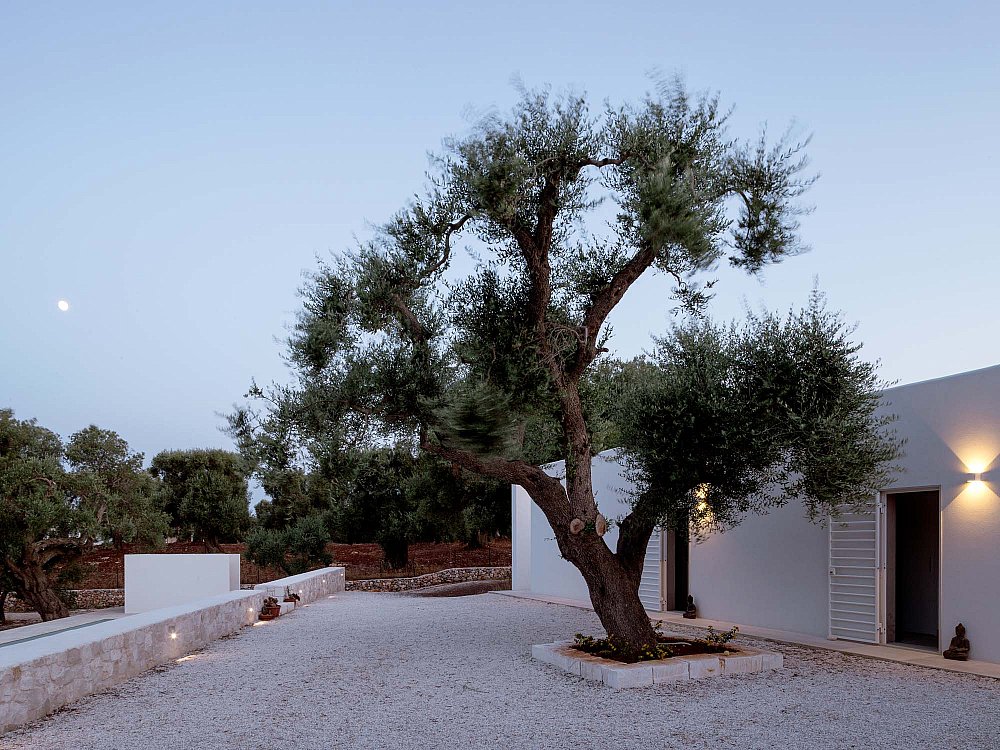 9 _ Noname Studio - Villa Uliveto _ © Francesca Iovene _ HD.jpg