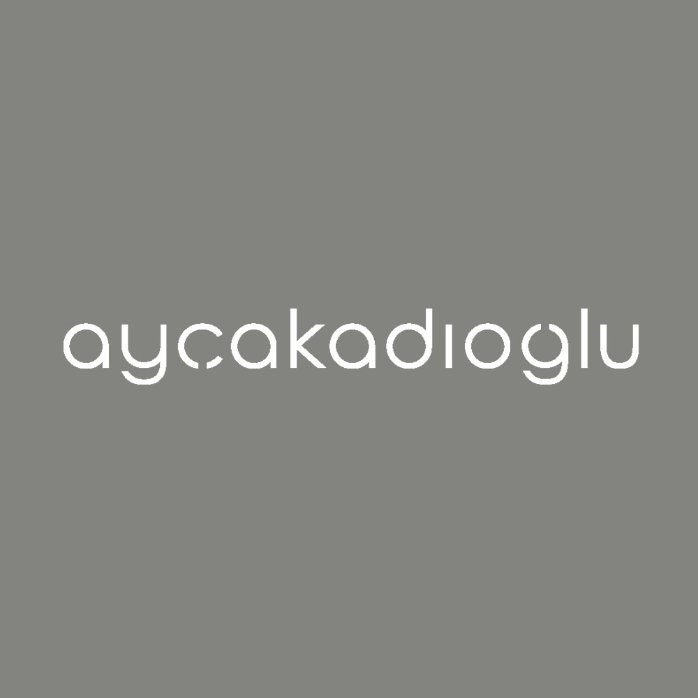 Ayca Kadioglu Architecture.JPG