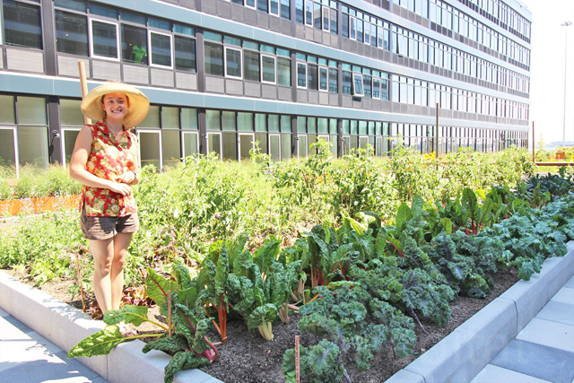 Trendy-Urby-waterfront-community-boasts-its-own-farm-bodega-and-urban-beehive-farmer-Zaro-Bates.jpg