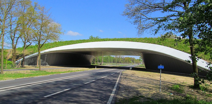 N350 Ecoduct de Grimberg-4_Holland.jpg