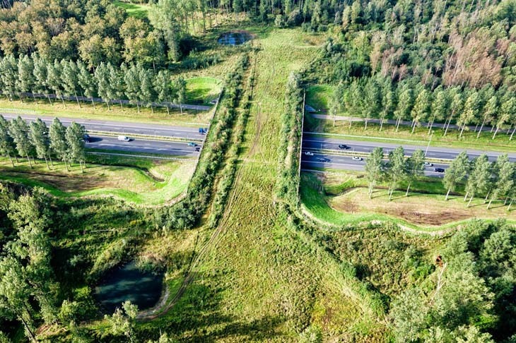 North Brabant provice, Netherlands.jpg