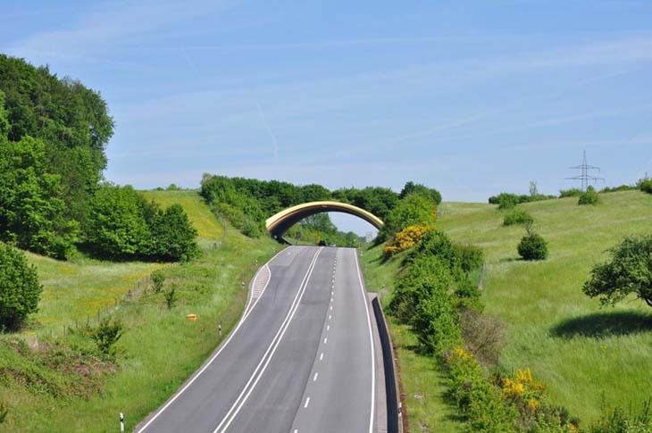 b38-birkenau-germany-animal-bridge-wildlife-crossing-overpass.jpg