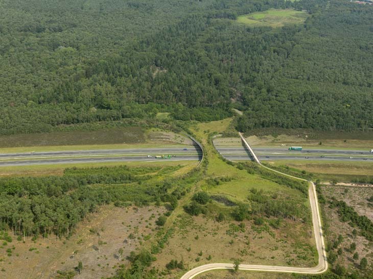 highway A1 in the National Park 'Veluwe.jpg