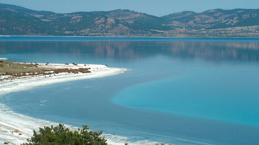 salda.jpg