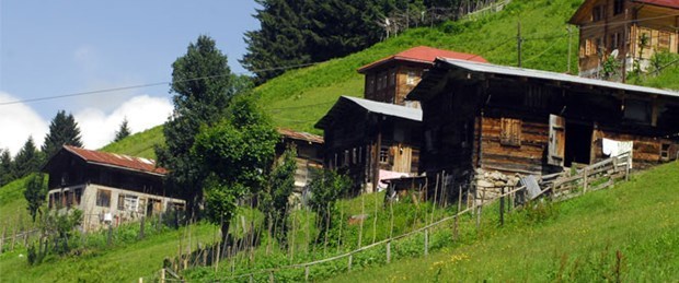 koysel.jpg