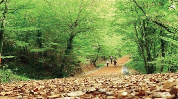 belgrad.jpg