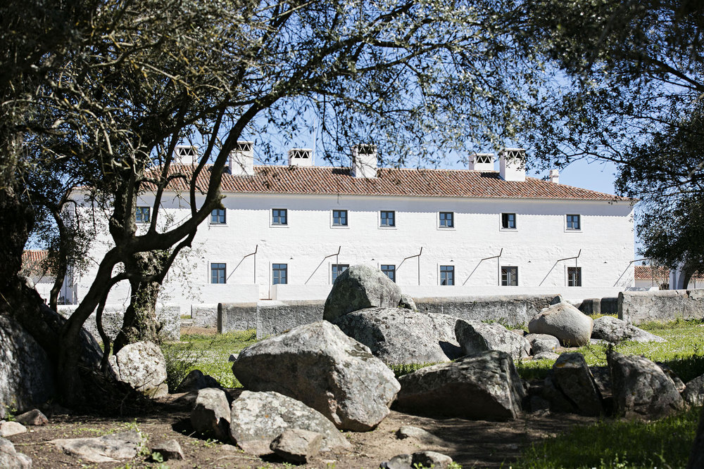 agricultural memory 4.jpg