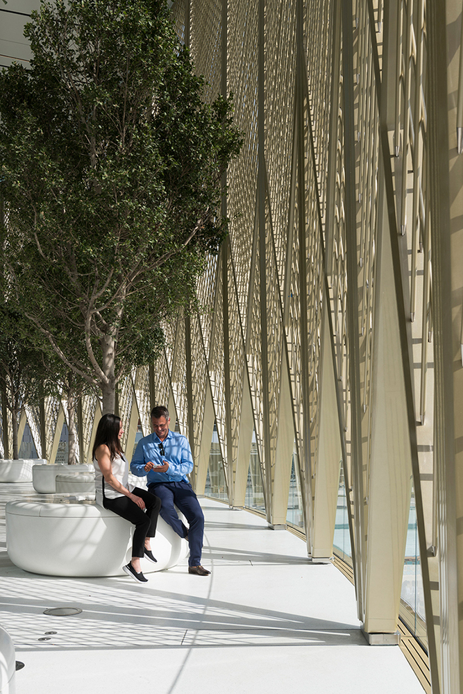 apple dubai mall 6.jpg