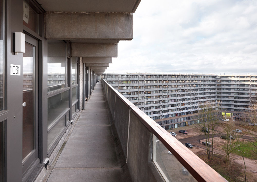 d4e0e2cae6465eb2efb2d1a55e2d0f605e2d1bae.jpeg.jpg