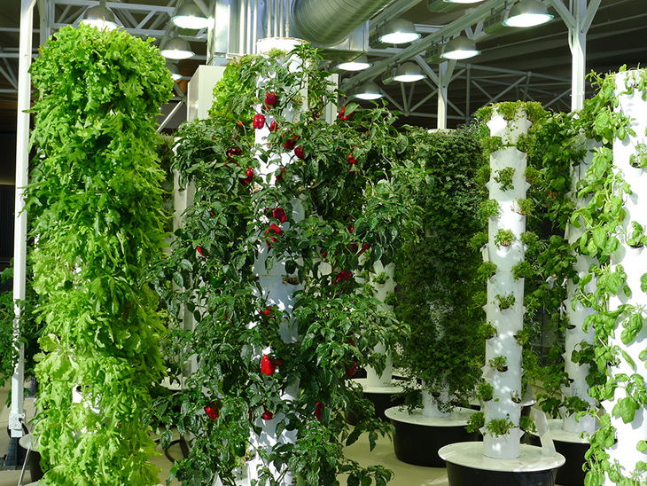 vertical farm.jpg