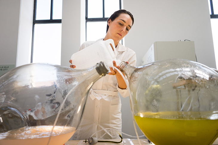algae_6.jpg