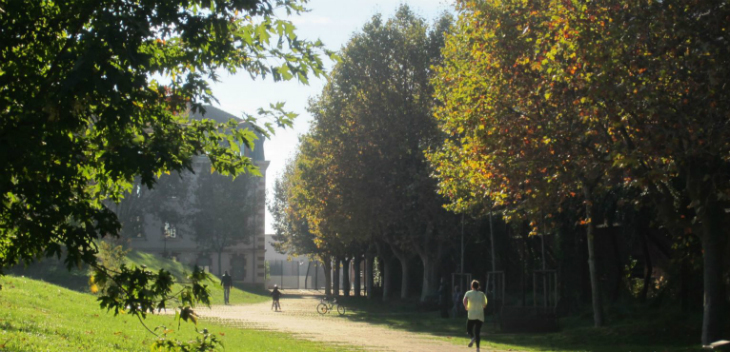 finalist18_25.JPG