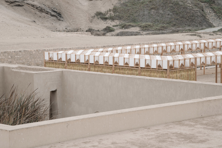 pachacamac-studio-tom-emerson-taller-5-Peru-10.jpg
