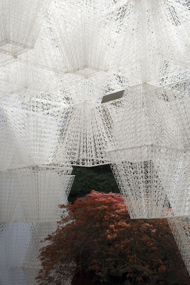 COS x Mamou-Mani - Conifera (4).jpg