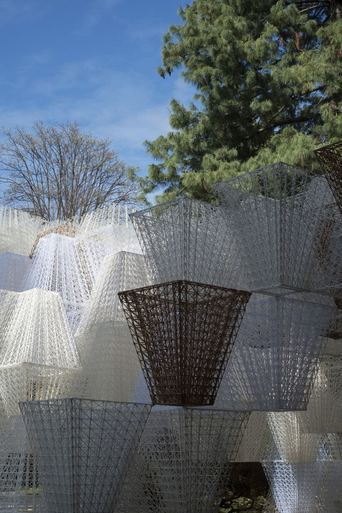 COS x Mamou-Mani - Conifera (9).jpg