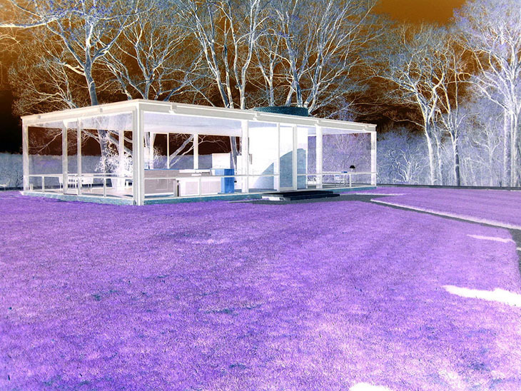 glasshouse2.jpg