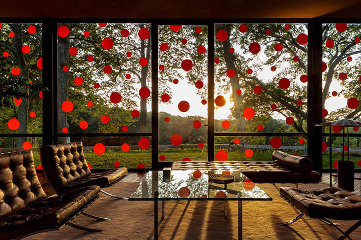 glasshouse4.jpg
