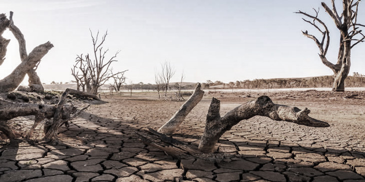 Grave-effects-of-climate-change-on-the-environment.jpg
