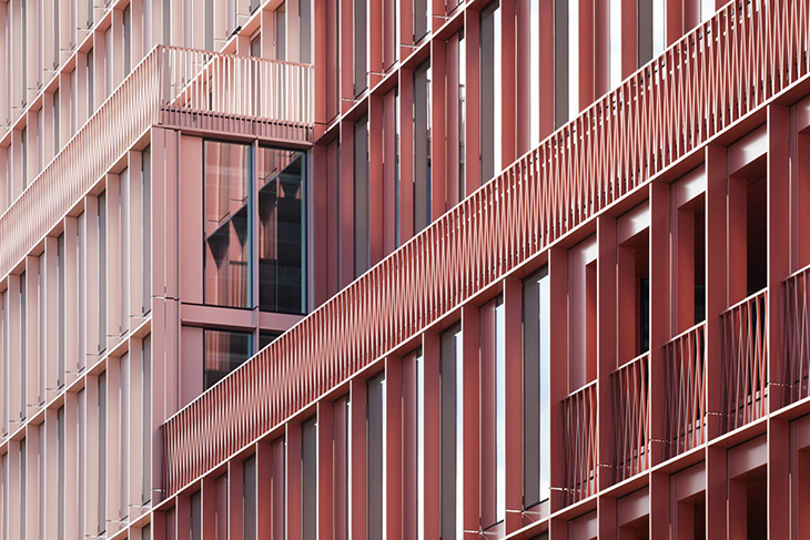 riba1.jpg