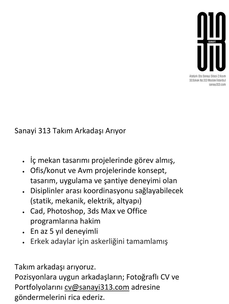 313.jpg