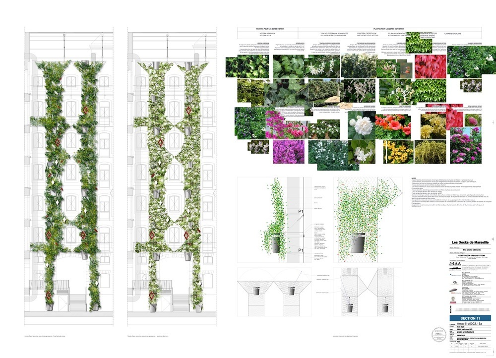 Details - Plants - Courtyard C
