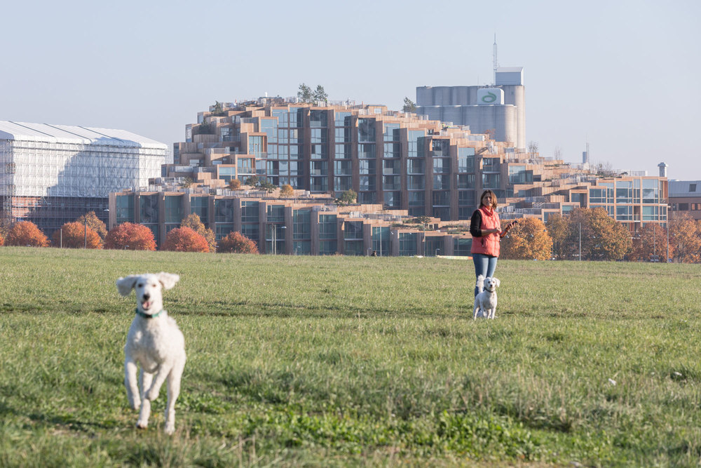 BIG_ST7_79th-and-Park_Image-by-Laurian-Ghinitoiu_02.jpg