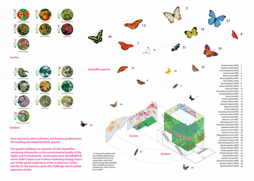 A4_18_FLYING_BUTTERFLIES.jpg