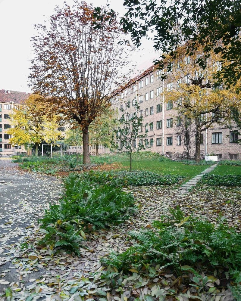 Nørrehus - Transformed garden - Path - Photo_Johansen Skovsted.jpg