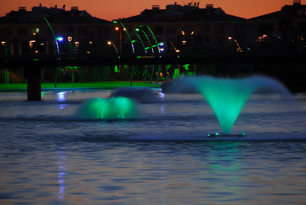 DSC_7638.JPG