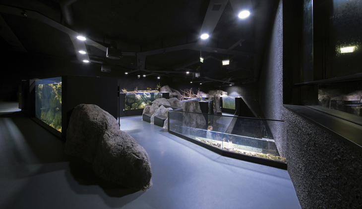 ic_aquarium_3LHD (3).jpg