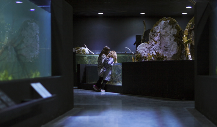 ic_aquarium_3LHD (4).jpg