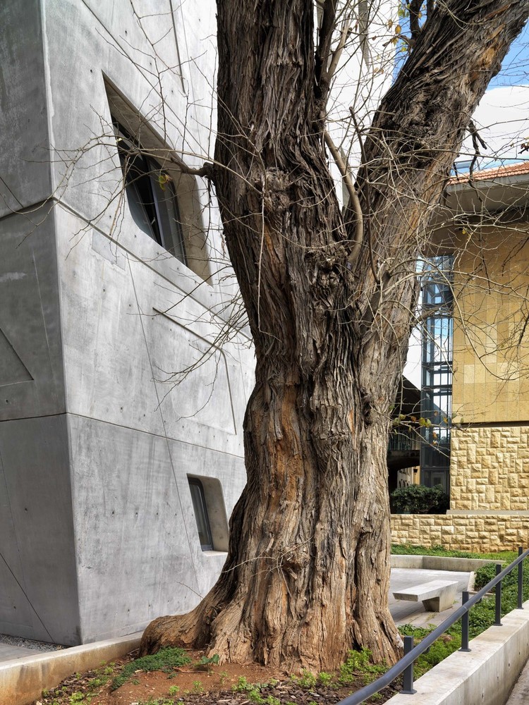 4748_LEB_CE_08.jpg