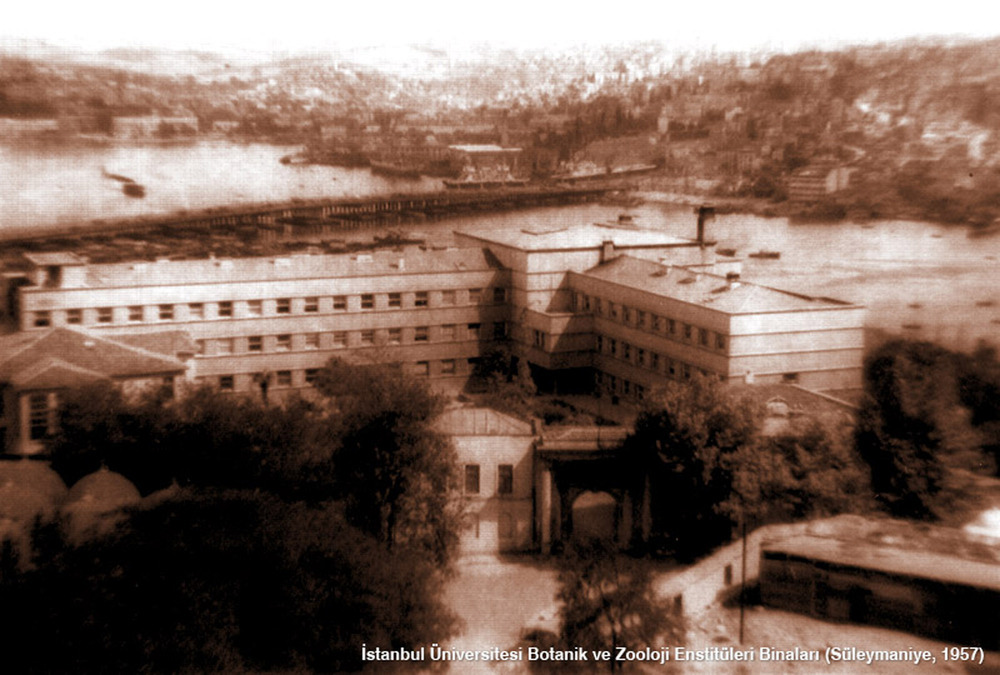 egli_botanikanabilimdalı.jpg