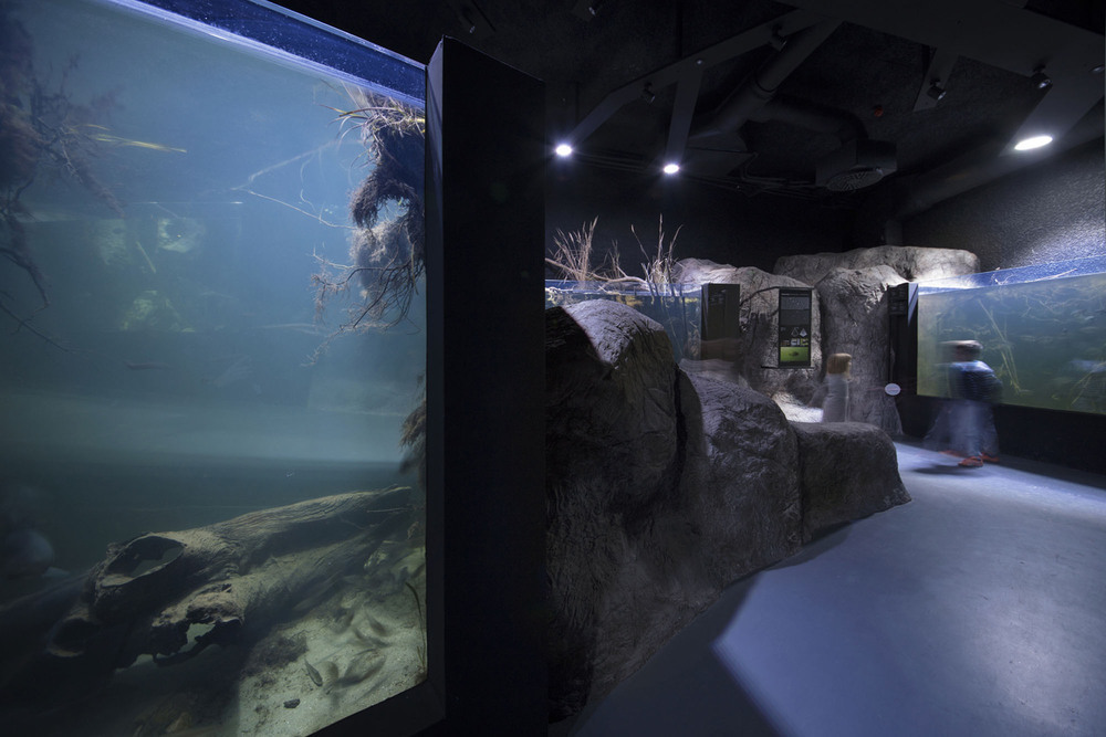 3LHD_224_Karlovac_Aquarium_photo_by_Jure_Zivkovic_17.jpg