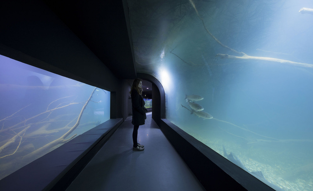 3LHD_224_Karlovac_Aquarium_photo_by_Jure_Zivkovic_22.jpg
